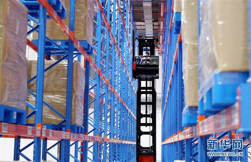 構建雙循環，闖出新天地——從長三角叉車產業看中國外貿新動能