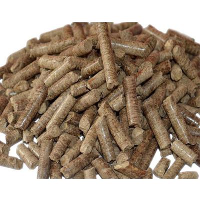 聚焦綠色能源 廊坊市鴻木新能源與河北生物質(zhì)燃料顆粒產(chǎn)業(yè)展望